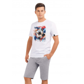 Clever MHP500942/1 комплект мужской (шорты+футболка)